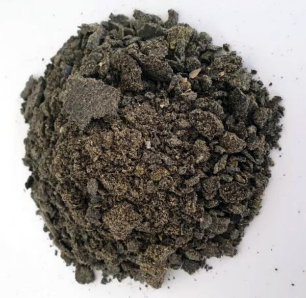 Sunflower Oilcake